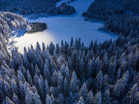 Foto de Plano escénico de lagos Fusine congelados en el bosque de Tarvisio, Italia - Imagen libre de derechos