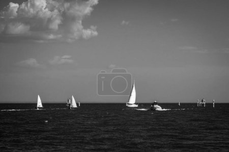Photo for Scenic shot of sailing boats near coast of Italy - Royalty Free Image