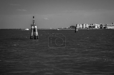 Foto de Tiro blanco y negro de hermosa orilla del mar - Imagen libre de derechos