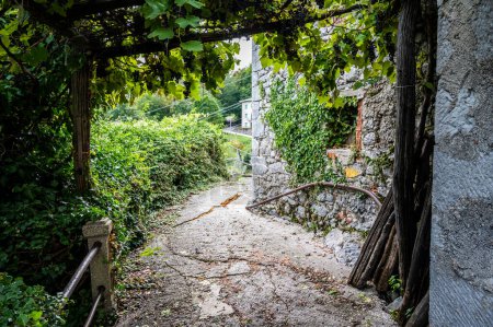 Téléchargez les photos : Panorama du paysage rural de la vallée de Natisone, Italie - en image libre de droit
