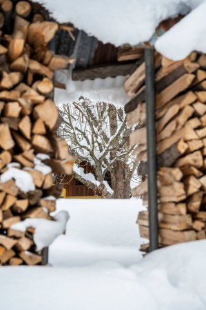 Foto de Pilas de troncos en el pueblo cubierto de nieve, Fusine. Tarvisio. - Imagen libre de derechos
