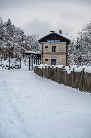 Téléchargez les photos : Beau paysage enneigé de Traviso, Italie - en image libre de droit
