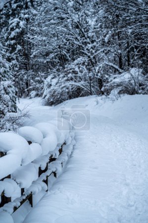 Photo for Beautiful snowy landscape of Traviso, Italy - Royalty Free Image