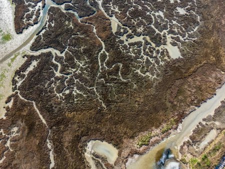 Photo for Aerial view of lagoon and mouth. - Royalty Free Image
