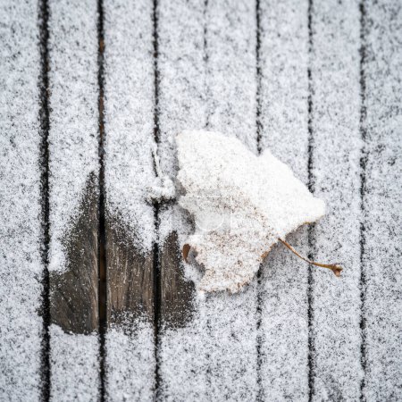 Foto de Hoja de otoño bajo nieve blanca congelada en la mesa de madera - Imagen libre de derechos