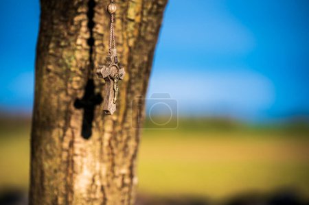 Téléchargez les photos : Croix accrochée à l'arbre - en image libre de droit
