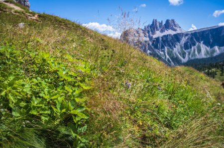 Foto de Impresionante vista de los Dolomitas Cortina. Italia - Imagen libre de derechos