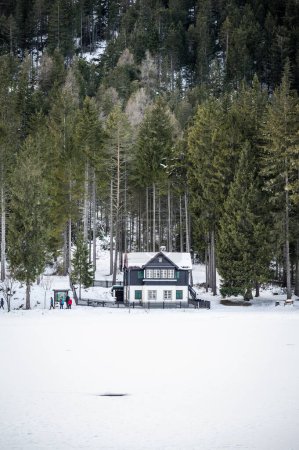 Téléchargez les photos : Maison en bois et forêt en arrière-plan. paysage hivernal. - en image libre de droit