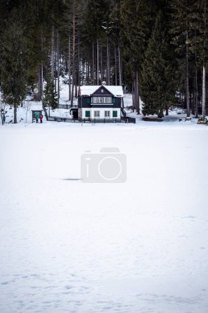 Foto de Casa de madera y bosque en el fondo. paisaje de invierno. - Imagen libre de derechos