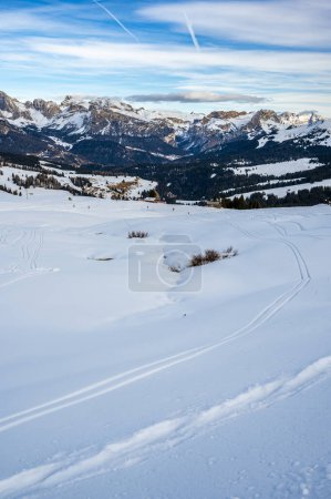 Téléchargez les photos : Le plus grand plateau d'altitude d'Europe en hiver. Neige et ambiance hivernale sur l'Alpe di Siusi. Dolomites. - en image libre de droit