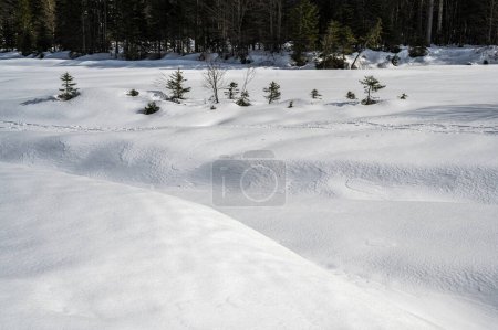 Téléchargez les photos : Tarvisio. Vallée du Riofreddo en hiver. Au pied des Alpes juliennes - en image libre de droit