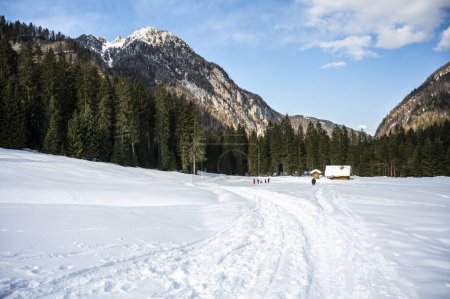 Foto de Tarvisio. Valle de Riofreddo en invierno. A los pies de los Alpes Julianos - Imagen libre de derechos