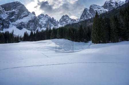 Photo for Tarvisio. Riofreddo valley in winter. At the foot of the Julian Alps - Royalty Free Image