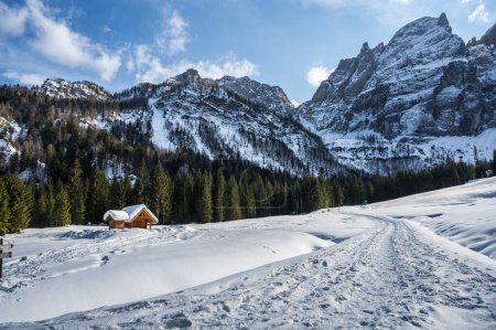 Photo for Tarvisio. Riofreddo valley in winter. At the foot of the Julian Alps - Royalty Free Image