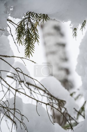 Foto de El complejo turístico de Tarvisio después de una fuerte nevada - Imagen libre de derechos