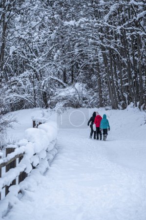 Photo for The tourist resort of Tarvisio after a heavy snowfall - Royalty Free Image