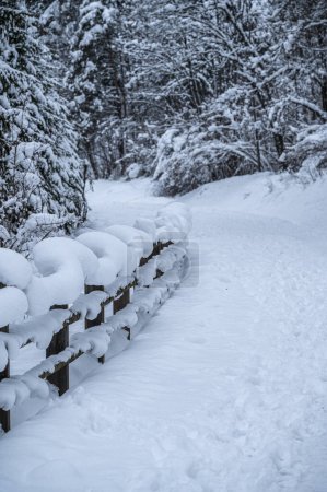 Téléchargez les photos : La station touristique de Tarvisio après une forte chute de neige - en image libre de droit