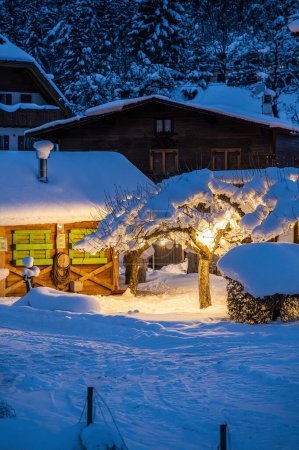 Téléchargez les photos : La station touristique de Tarvisio après une forte chute de neige - en image libre de droit
