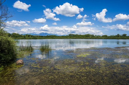 Photo for Landscape of lake San Daniele in Italy - Royalty Free Image