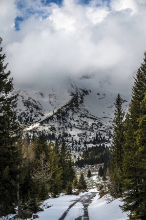 Foto de Nieve de primavera en el Monte Canin y Montasio - Imagen libre de derechos