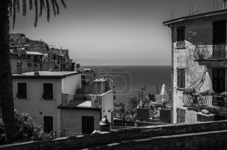 Photo for Beautiful architecture and sea coast at Corniglia. Cinque Terre - Royalty Free Image