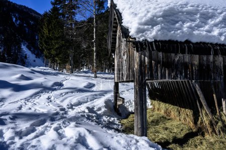 Tarvisio. Valle de Riofreddo en invierno. A los pies de los Alpes Julianos