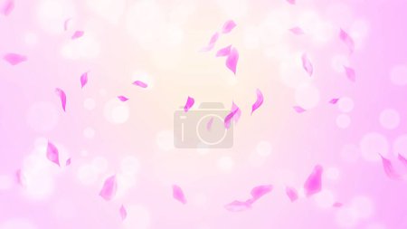 Pink Rose Petals, cherry blossom on spring background, nature