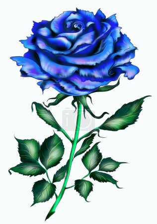 Photo for The rose is blue. Rose of love. computer painting - Royalty Free Image