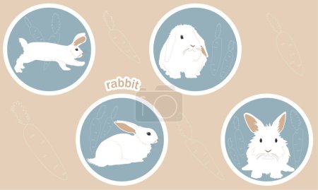 Illustration for A set of four cartoon characters, a white rabbit in different poses and with different emotions, a bunny with a carrot. Colored sticker isolated with stroke on beige background. Vector illustration - Royalty Free Image