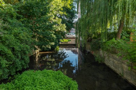 Photo for Historic Leinekanal in Goettingen in summer with water plants and green trees. More pictures from Goettingen in my collection - Royalty Free Image