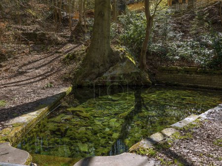 Photo for Natural water spring, Mariaspring near Goettingen, Germany - Royalty Free Image