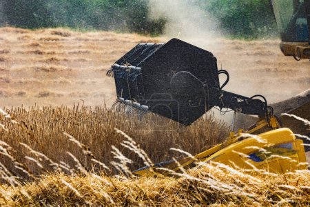 Téléchargez les photos : Gros plan de la barre de coupe de moissonneuse-batteuse faucheuse champ de blé - en image libre de droit