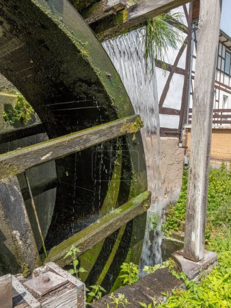 Photo for Mill garden with large insects Hotel of Wilhelm Busch mill in Ebergtzen Germany - Royalty Free Image