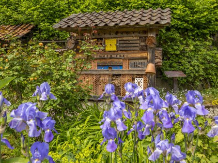 Photo for Large insect hotel, free standing in the garden. With blue bell flowers in the foreground - Royalty Free Image