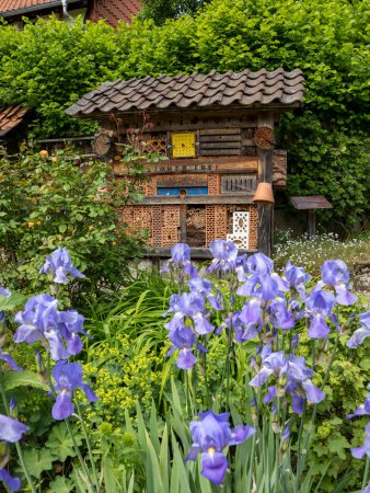 Photo for Large insect hotel, free standing in the garden. With blue bell flowers in the foreground - Royalty Free Image