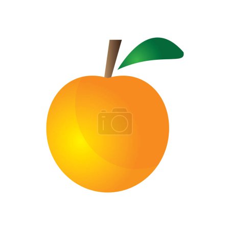 Photo for Fresh orange clip art is suitable for fruit advertisements and lessons for children template vector eps 10 - Royalty Free Image