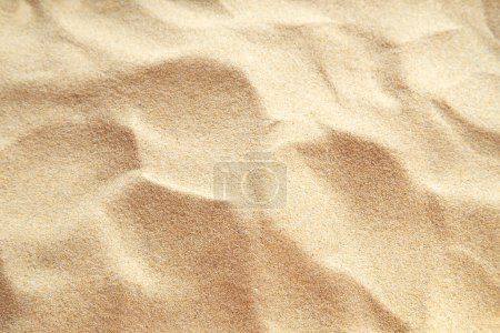 Photo for Beach sand close up - Royalty Free Image