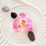 Zen garden with a white sand, stones and an orchid