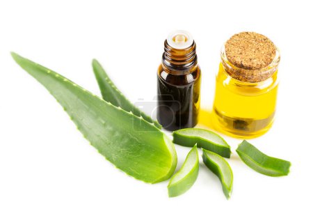 Aloe vera sloces, essential oil and essence on white background