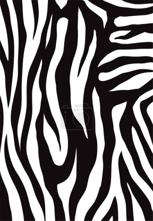Photo for Abstract illustration of zebra stripe for background and wallpaper - Royalty Free Image