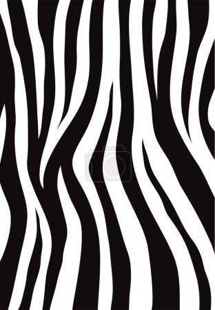 Photo for Abstract illustration of zebra stripe for background and wallpaper - Royalty Free Image