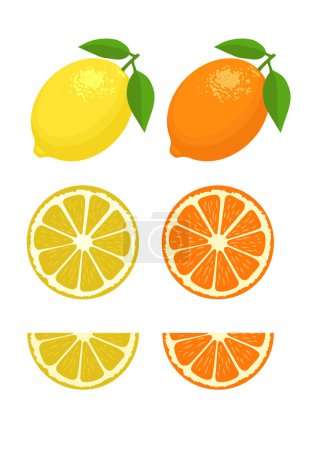 Photo for Set of lemon slice lemon fruit and leaf on white background Vector illustration. - Royalty Free Image