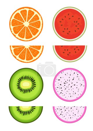 Photo for Set of citrus and exotic, tropical fruit slices, Vector graphic summer fruit icons - Royalty Free Image