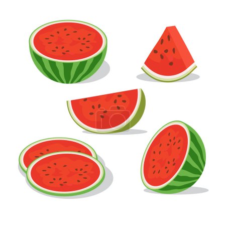Photo for Vector illustration of Fresh and juicy whole watermelons and slices - Royalty Free Image