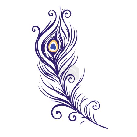 Photo for Peacock feathers on a white background. Vector Illustration - Royalty Free Image