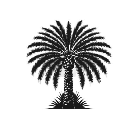 Photo for Hand drawn vector illustration of date palm trees - Royalty Free Image