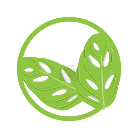 Monstera adansonii Leaf Logo, Green Plant Vector, Tree Vector, Rare Leaf Illustration Poster 623791760