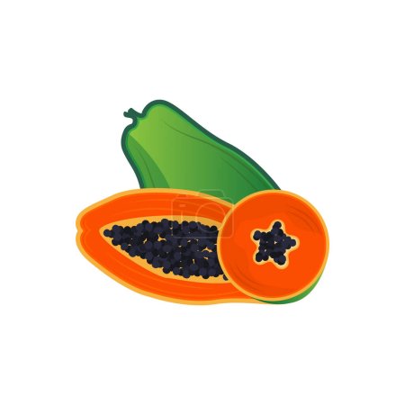 Papaya Logo Design, Vitamin Fruit Vector, Fruit Product Brand Illustration Icon