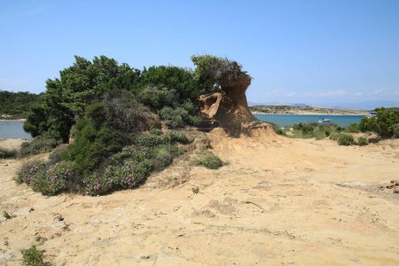 Téléchargez les photos : Dunes de sable sur l'île de Rab nature sauvage en Croatie Nature sauvage en Croatie lieux inaccessibles dunes de sable et escarpements - en image libre de droit