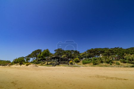 Photo for Paradise sandy beach on the island of Rab in Croatia - Royalty Free Image